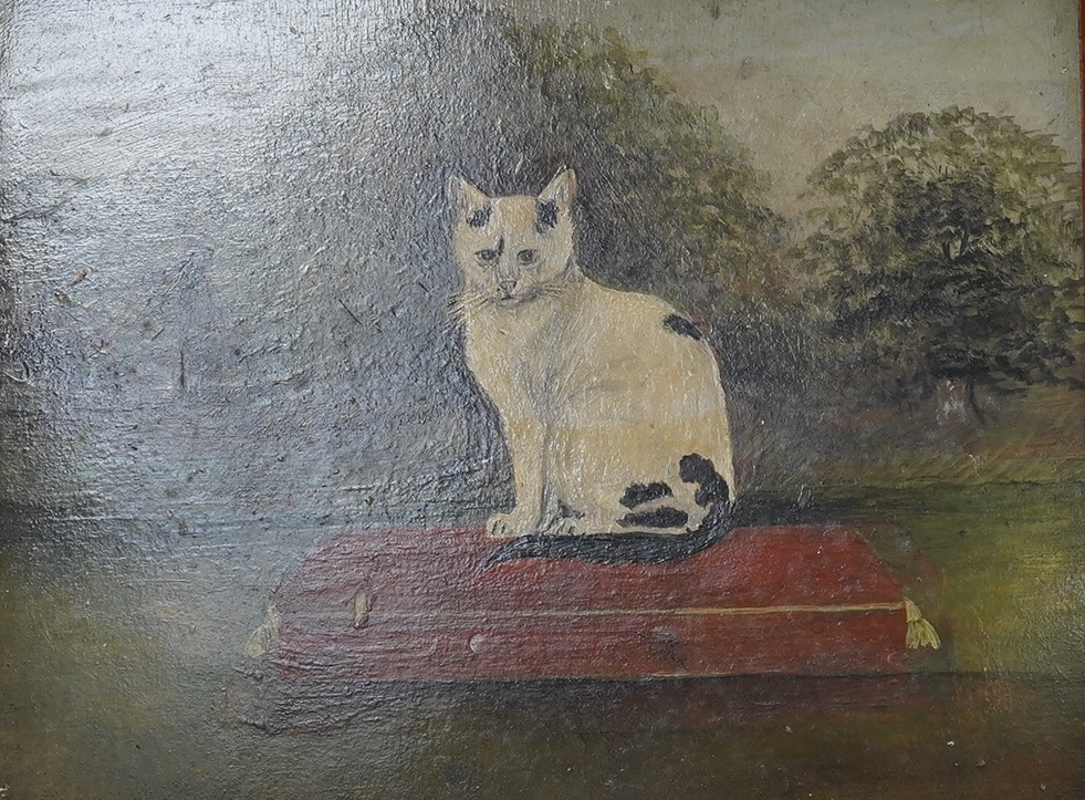 Late 19th / early 20th century, naive English School, oil on board, Study of a seated cat, indistinctly monogrammed lower left, 22 x 29cm. Condition - fair